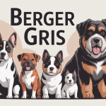 illustration bergers gris races allemand hollandais belge