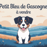 petit bleu de gascogne à vendre illustration chiot campagne