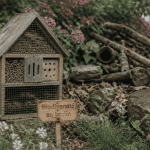 hôtel à insectes inconvénients devant haie et bois mort