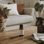 huile essentielle chat pipi flacon salon
