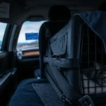 Faire 600 km avec un chat : caisse rigide fixée sur la banquette arrière en voiture