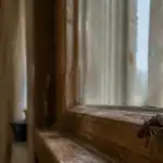punaise marron sur fenêtre en bois