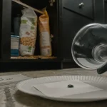 Petite bete noire maison sur une feuille, gros plan