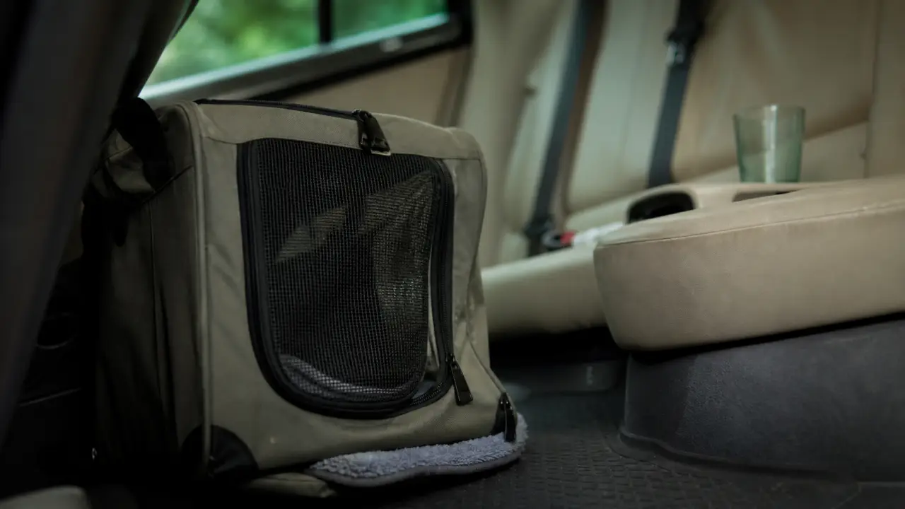 Sac pour chat : caisse rigide pour chat en voiture, vue latérale ventilée