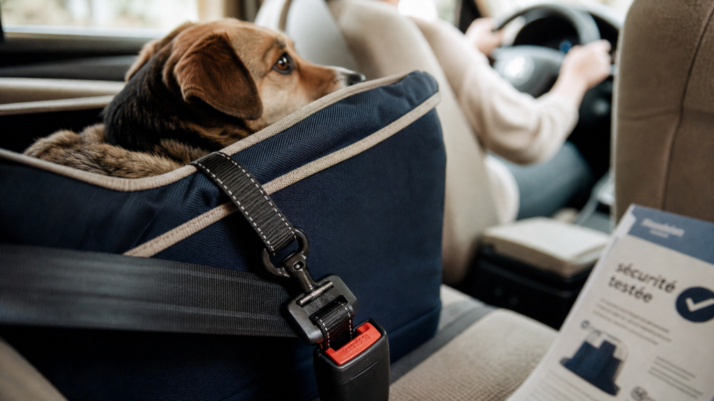Siege auto pour chien fixé par ceinture, housse anti-dérapante et sécurité
