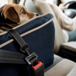 Siege auto pour chien fixé par ceinture, housse anti-dérapante et sécurité
