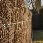Brise vue naturel jardin : treillis recouvert de bruyère